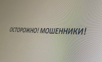Мошенники в Мурманской области Мошенники