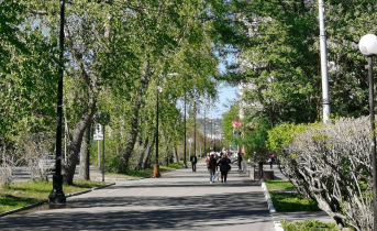 Мурманчанин попал в больницу после прогулки во дворе дома Мурманск