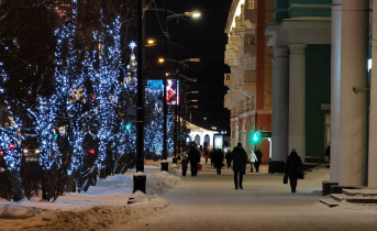 Новый вид мошенничества шокировал северянку в Мурманске Мурманск