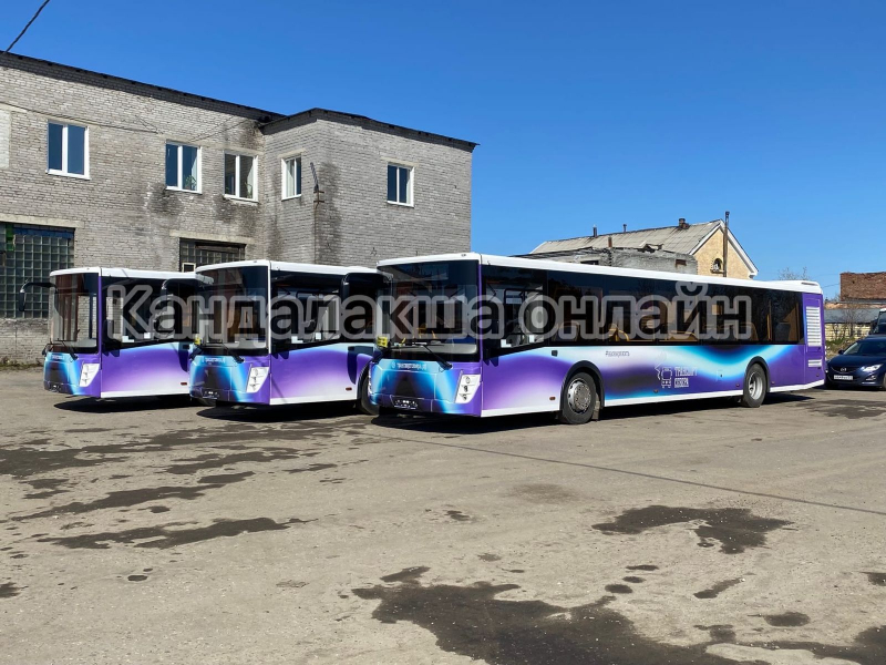Новые автобусы обрадовали северян в Мурманской области Автобусы