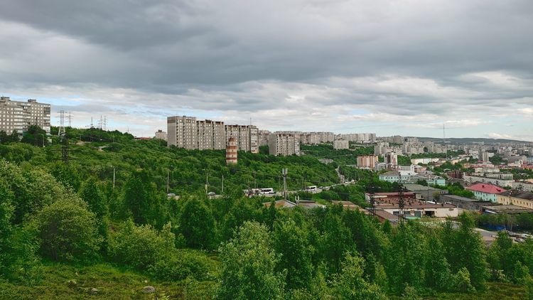 В Мурманске задержали и доставили в полицию 35 злоумышленников Мурманск