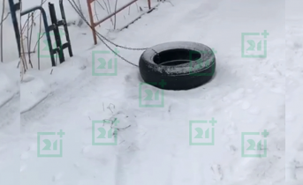 Покрышки
