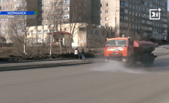 С каждым днем в Мурманске становится чище Город
