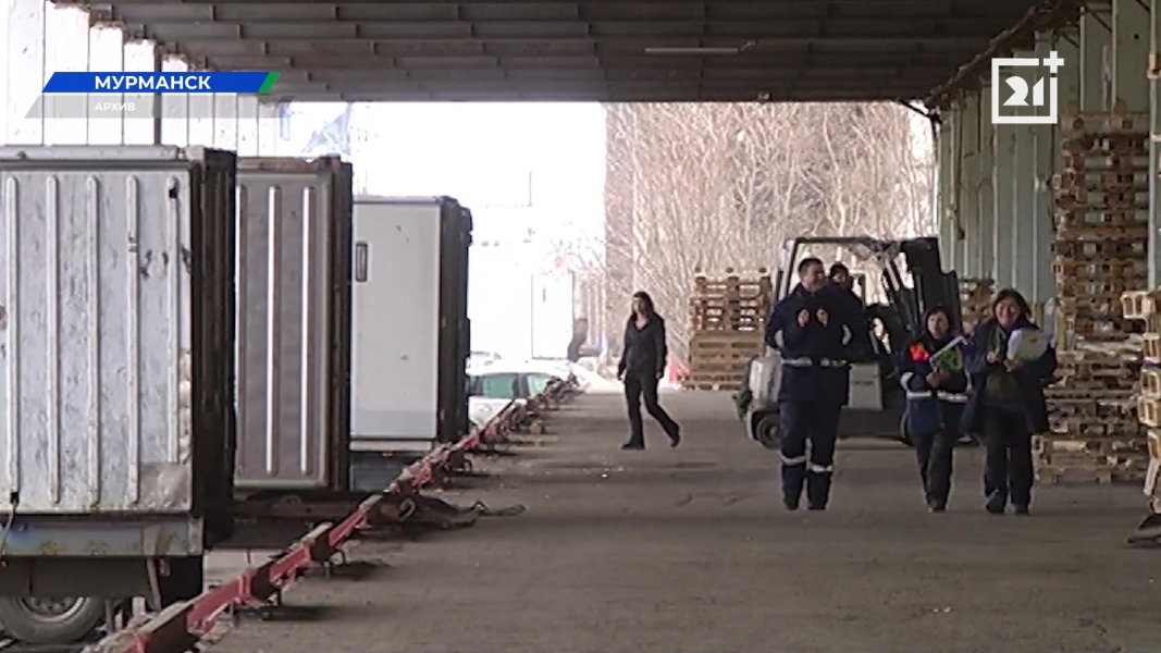 Крупное предприятие Мурманской области ждет модернизация Порт