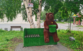 В населенном пункте Мурманской области поселился медведь Медведь