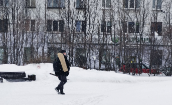 Дебошир в Мурманске Улица