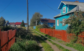 Неизвестный проник в дом и избил пенсионерку и ее сына Дома