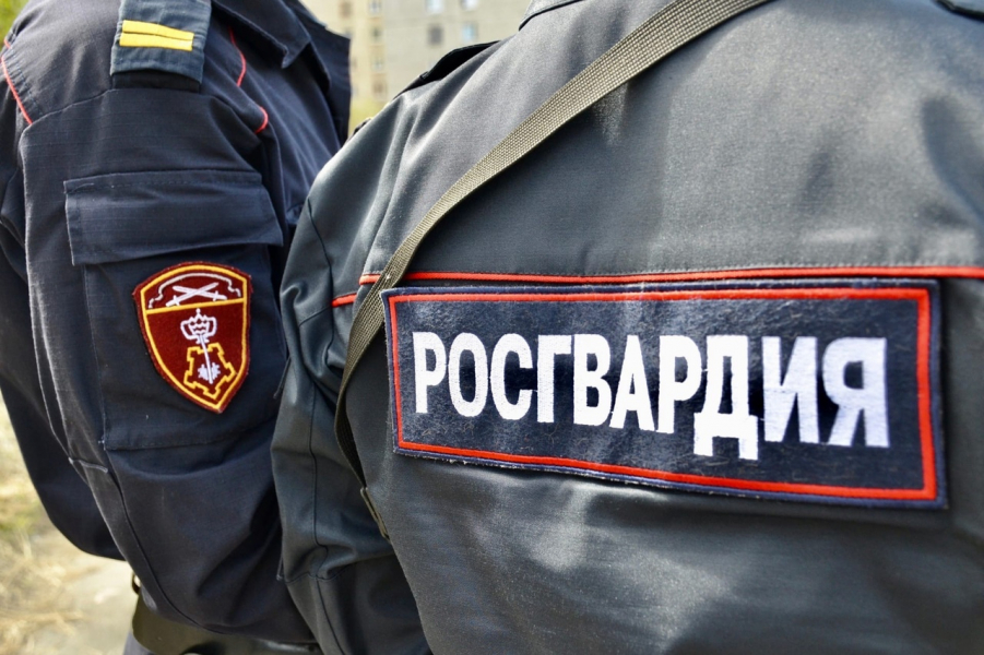 В мурманском гипермаркете дебошир ударил покупателя, фото Росгвардия