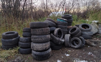 Количество негодяев увеличилось. В Мурманске обратили внимание на острую проблему Количество негодяев увеличилось. В Мурманске обратили внимание на острую проблему