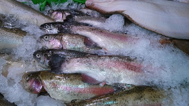 В России резко подешевела мороженая рыба Мороженая рыба