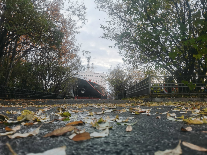 Мощный ливень обрушился на Мурманск Листья