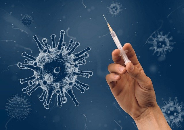 Отгулы за вакцинацию в Мурманской области Коронавирус