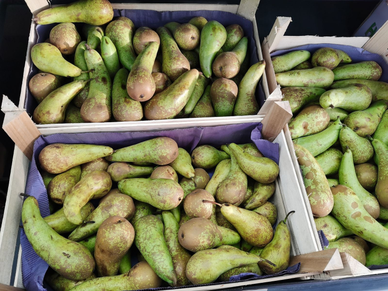 В магазинах в Мурманске резко подорожали продукты Фрукты