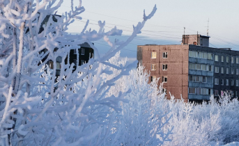 Морозы в Мурманской области Мурманск