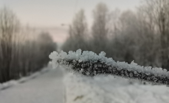 В Мурманской области ожидается до -21° Зима