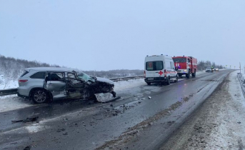 За сутки в Мурманской области произошло 25 ДТП ДТП