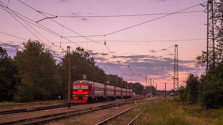 РЖД проводит проверку из-за отравления детей в поезде Мурманск – Адлер Поезд