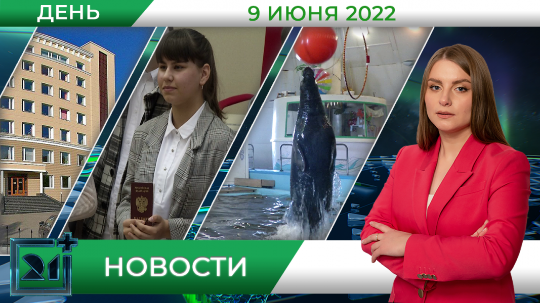 Полное видео программы «Дневные новости»
