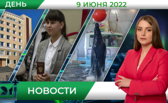 Полное видео программы «Дневные новости» Полное видео программы «Дневные новости»