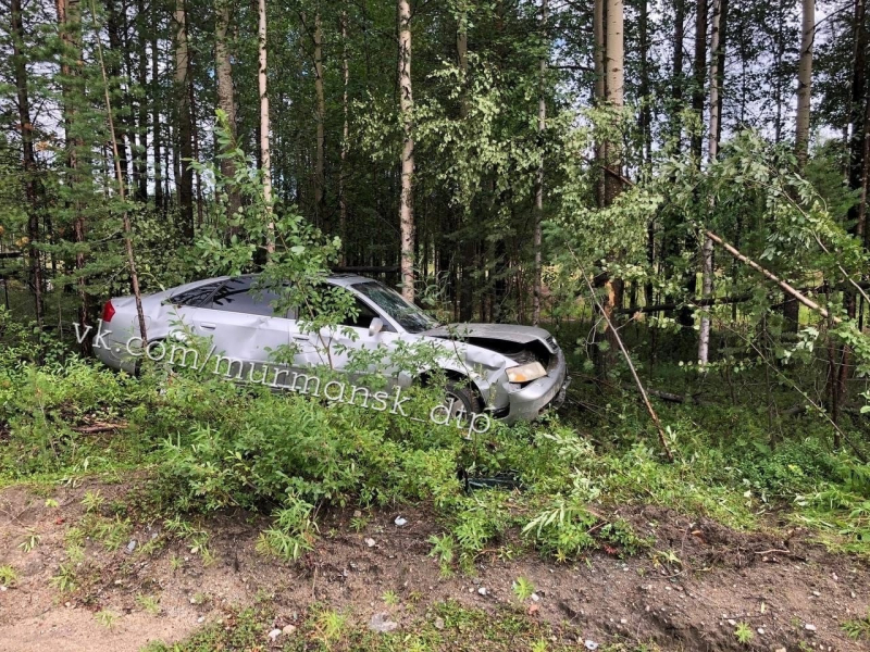 Неожиданную находку сфотографировали в лесу в Мурманской области Лес