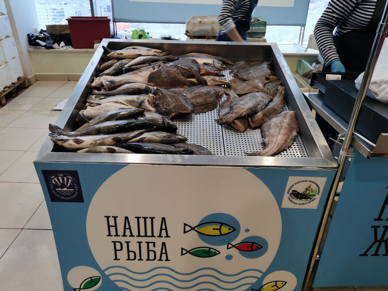 Масштабная ярмарка возобновит свою работу после новогодних праздников Рыбная ярмарка