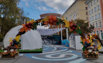 В центре Мурманска мужчина разрушил декорации В центре Мурманска мужчина разрушил декорации