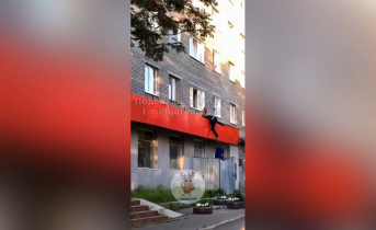 Козырек