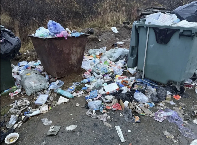 Природный парк оказался под угрозой в Мурманской области