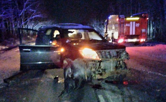 Еще одна трагедия произошла в Мурманской области Еще одна трагедия произошла в Мурманской области
