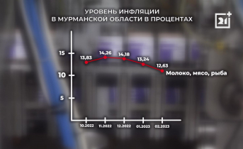 Специалисты рассказали об инфляции в Мурманской области снижение инфляции в Мурманской области
