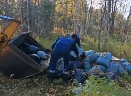 Несанкционированную свалку ликвидировали в Мурманской области Мурманская область, мусор, люди, мешки