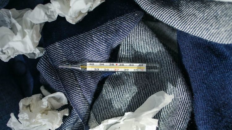 Количество заболевших коронавирусом в Мурманске уменьшилось Градусник