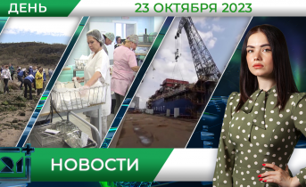 Полное видео программы «Дневные новости»