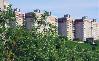 В Мурманской области выросла заболеваемость опасной инфекцией Мурманск