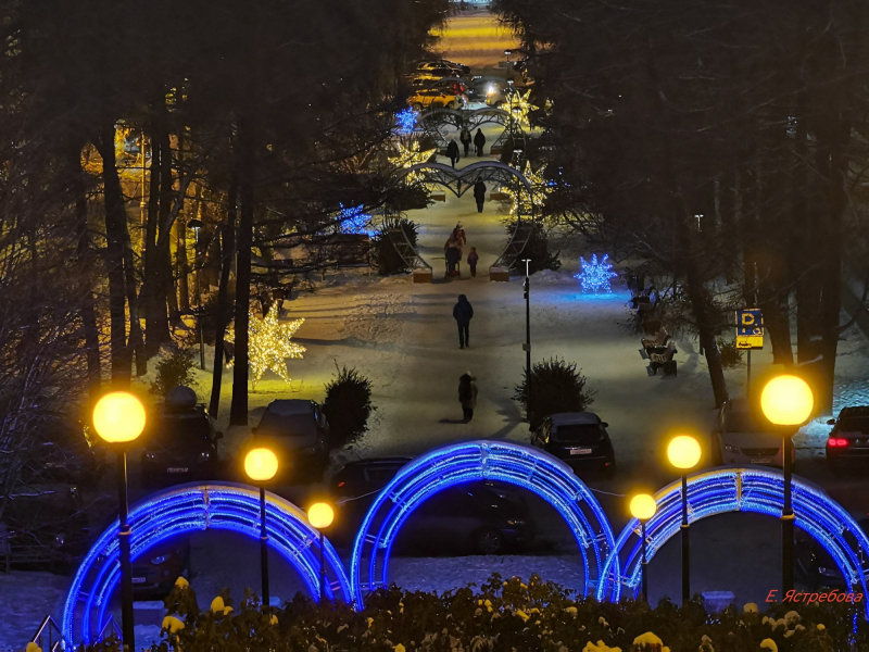 Заболеваемость в Мурманской области Мурманск