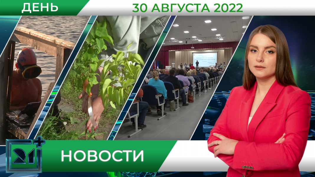 Полное видео программы «Дневные новости»