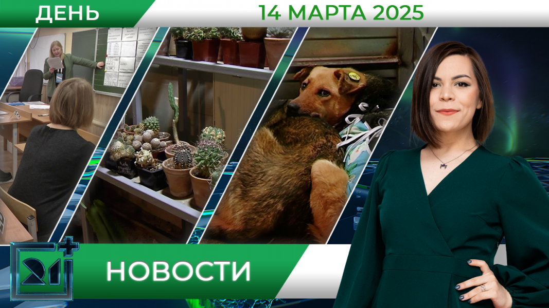 Дневные новости от 14 марта Дневные новости от 14 марта
