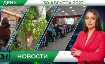 Полное видео программы «Дневные новости» Полное видео программы «Дневные новости»