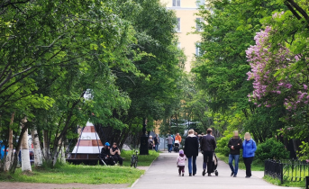 Новые меры поддержки семей могут появиться в Заполярье Люди