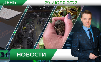 Полное видео программы «Дневные новости» Полное видео программы «Дневные новости»