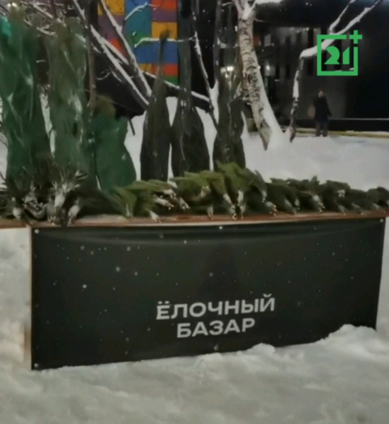 Елка