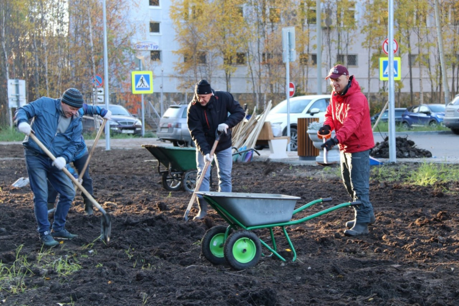 Высадка деревьев