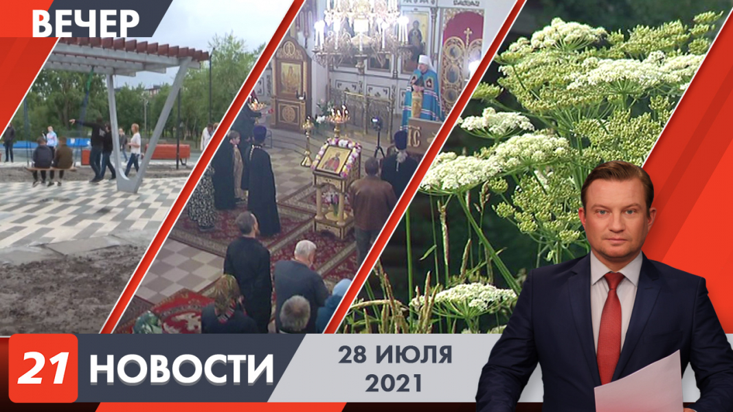 Вечерние новости
