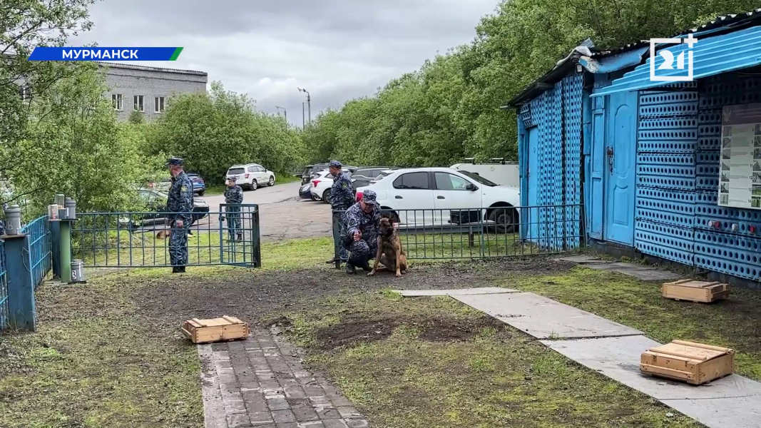 Кинологи