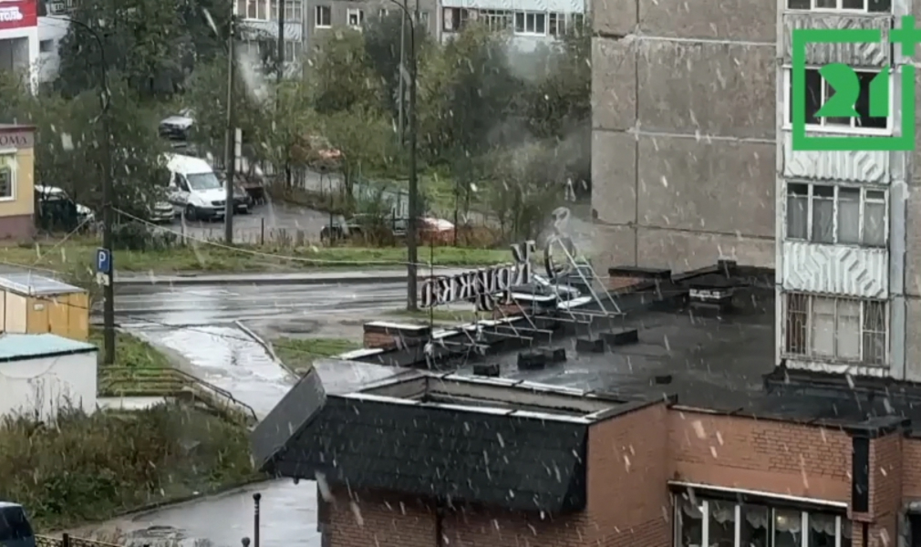 Первый снег