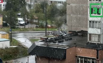 В Мурманск заглянула зима Первый снег