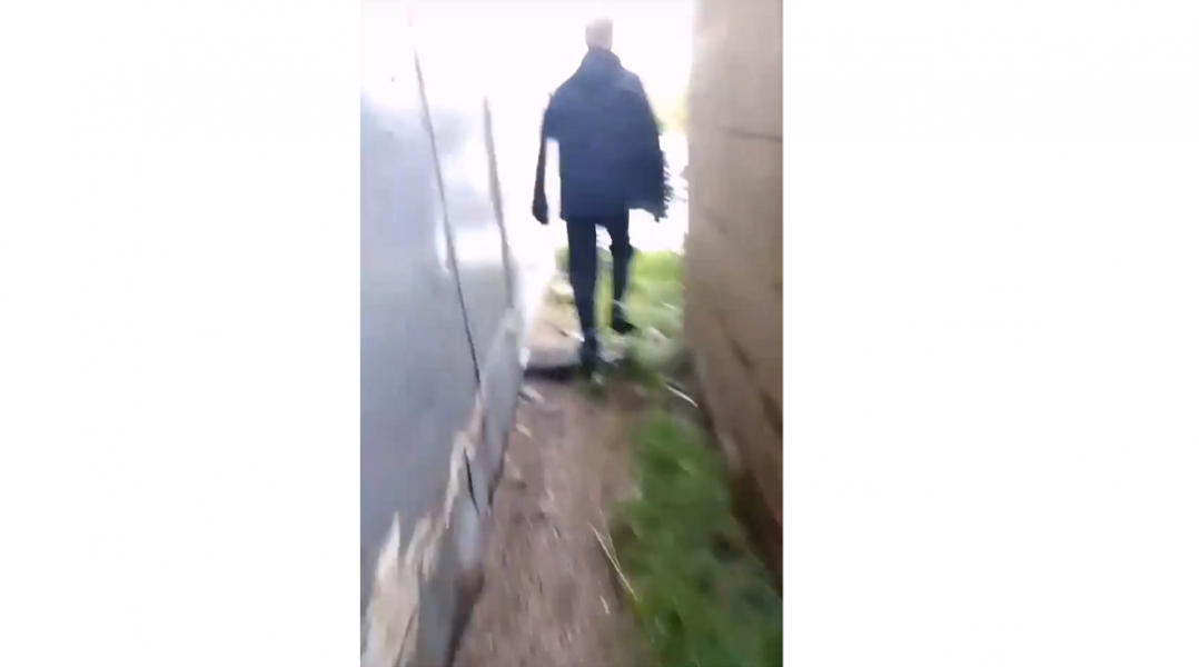 Подростки сняли на видео, как жестоко убили котенка в Мурманской области Подросток