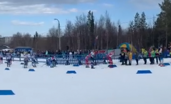 Лыжники