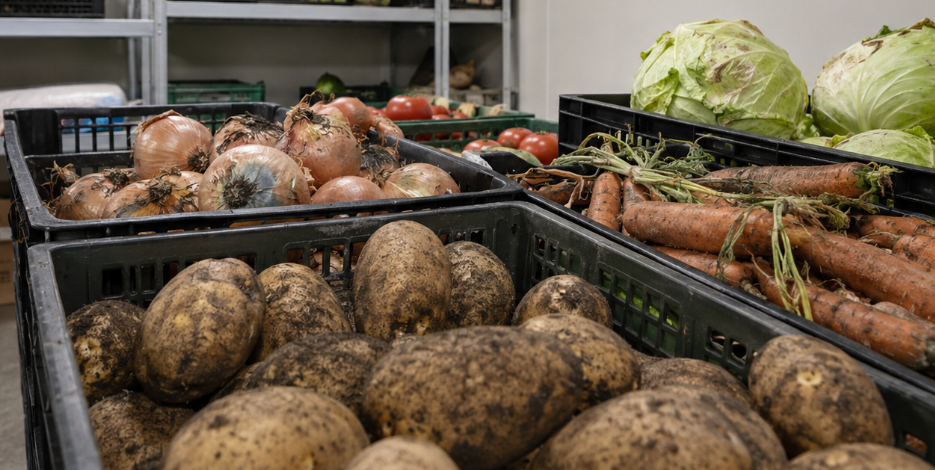 Испорченные продукты без документов обнаружили в Мурманской области Испорченные продукты без документов обнаружили в Мурманской области