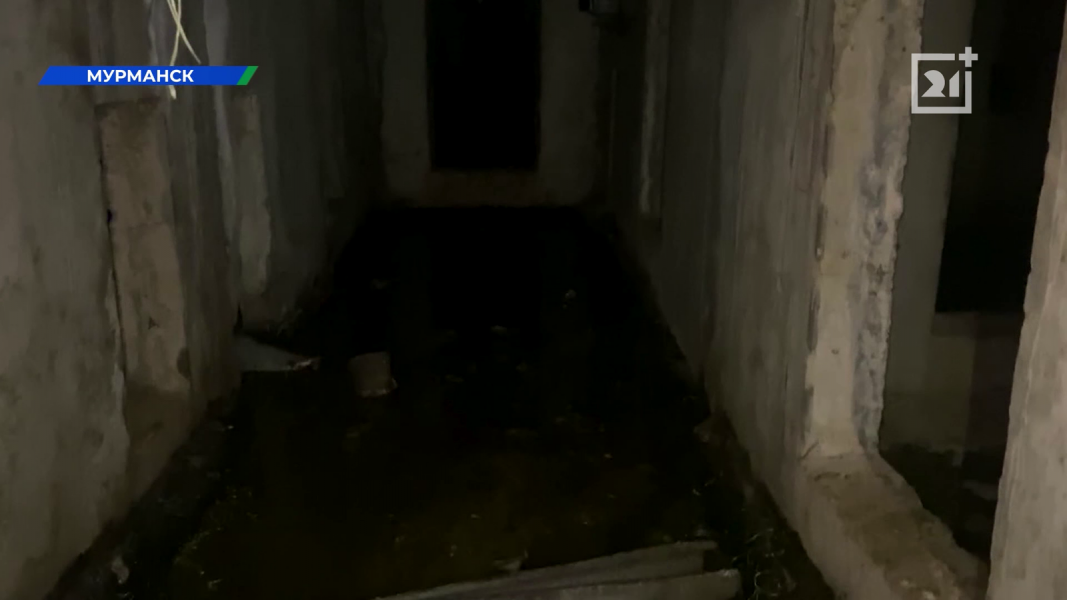 Мурманчане пожаловались на кошмар в подвале жилого дома Мурманчане пожаловались на кошмар в подвале жилого дома